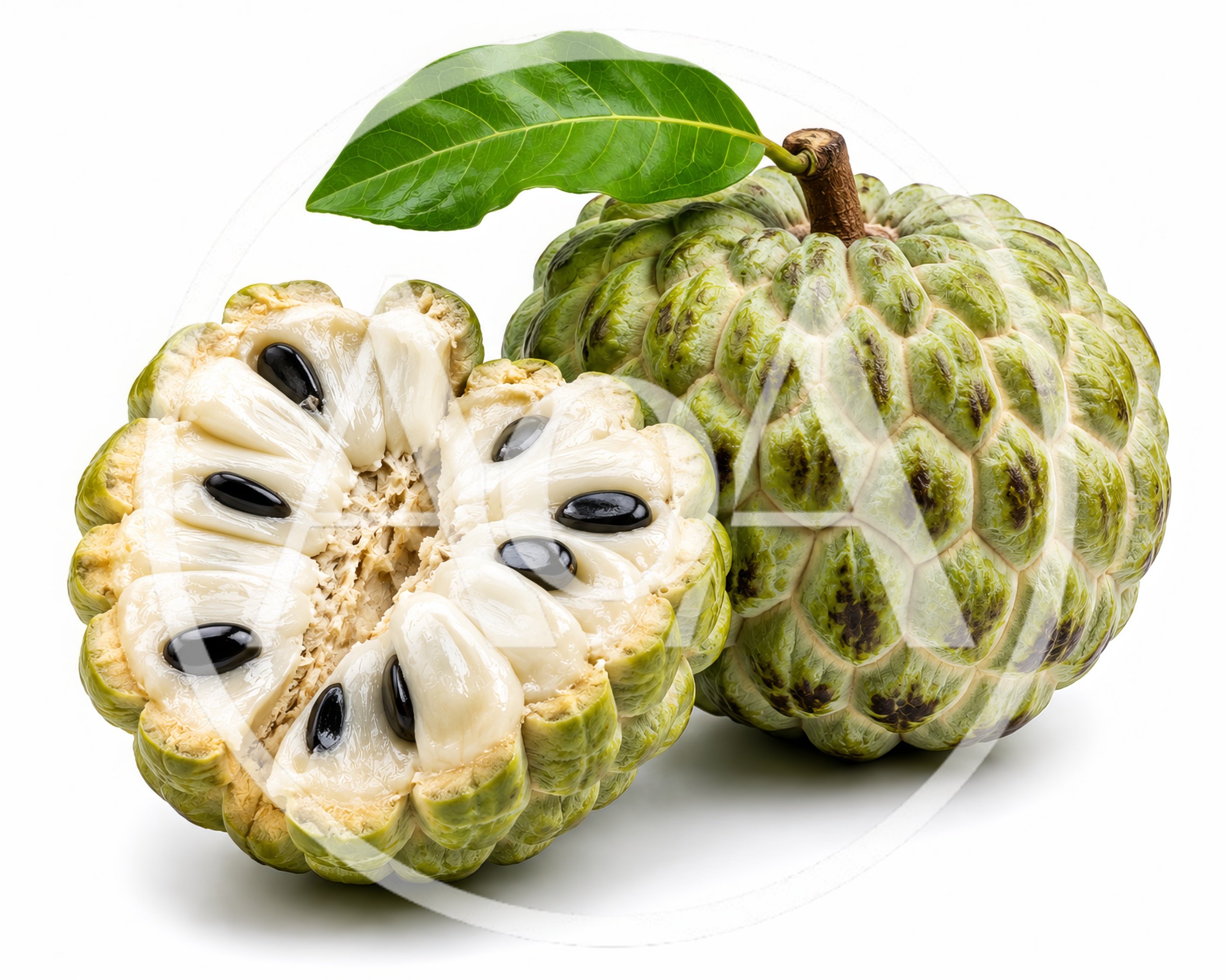 Fresh Sugar Apple Fruit With Leaf