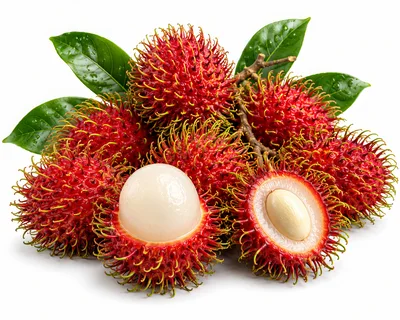 Fresh Rambutan Fruits With Leaves On White Background