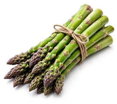 Fresh Green Asparagus Spears Tied With Twine