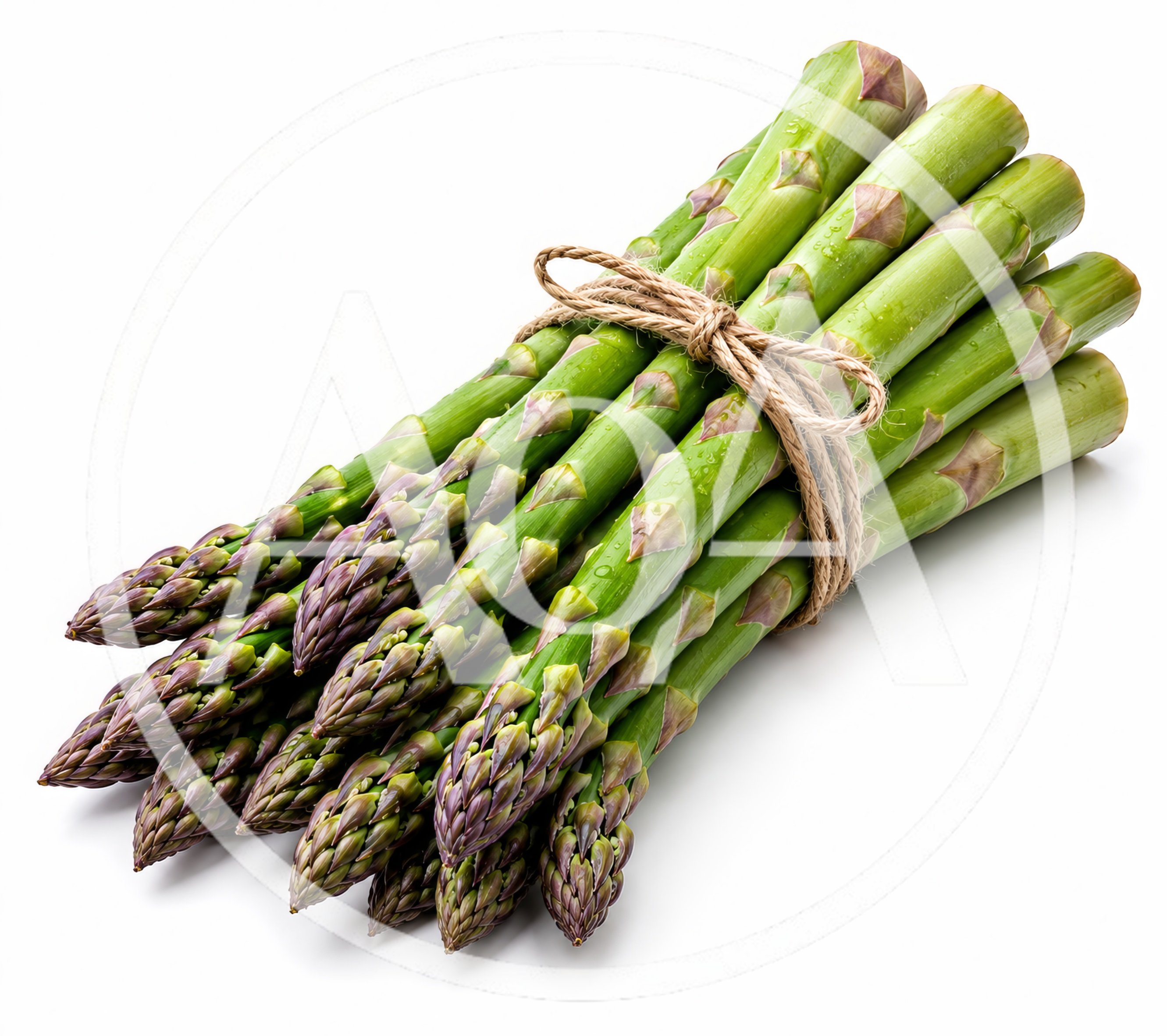 Fresh Green Asparagus Spears Tied With Twine