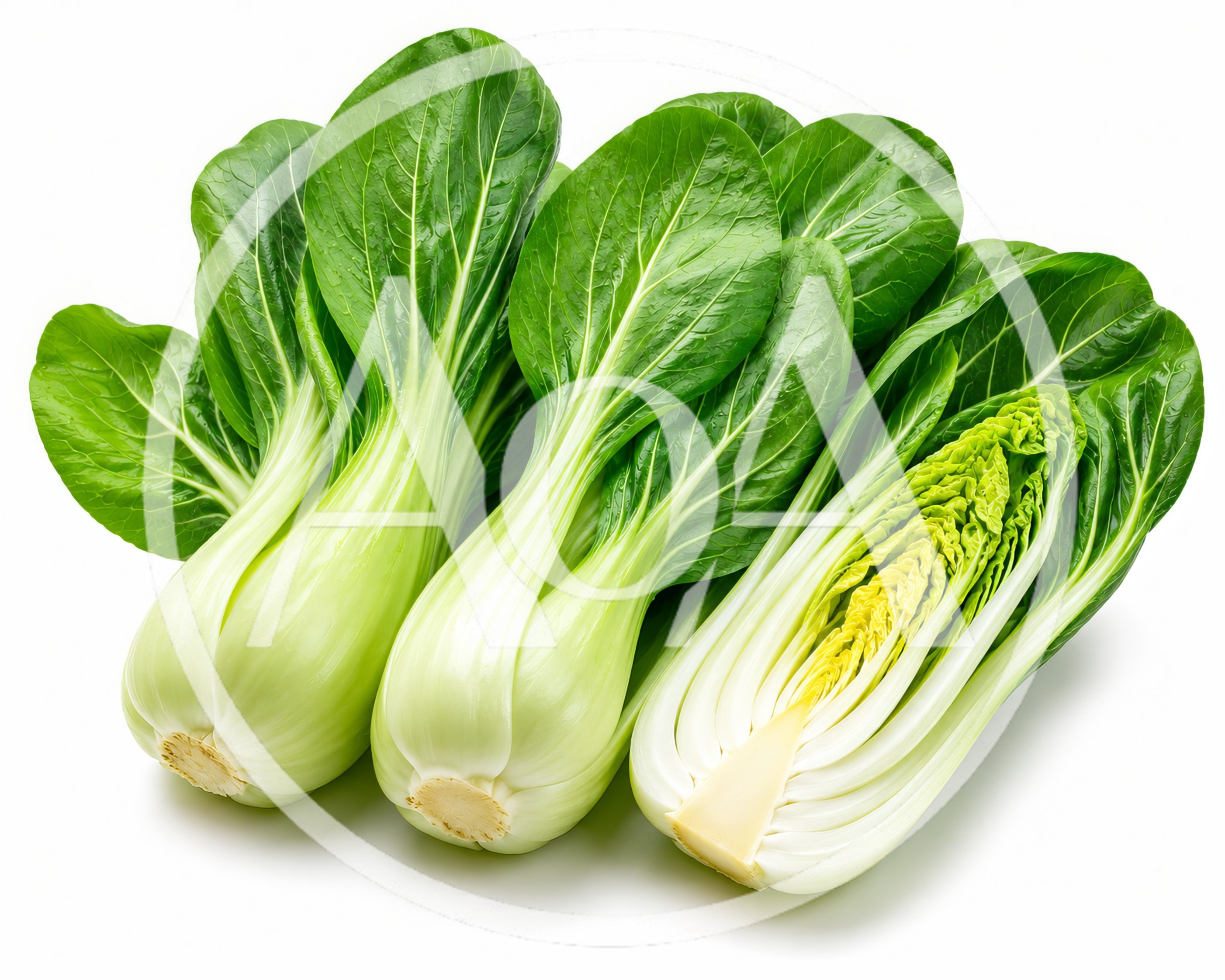 Fresh Bok Choy Vegetables on White Background