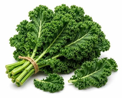 Fresh Bunch Of Curly Kale Leaves On White Background