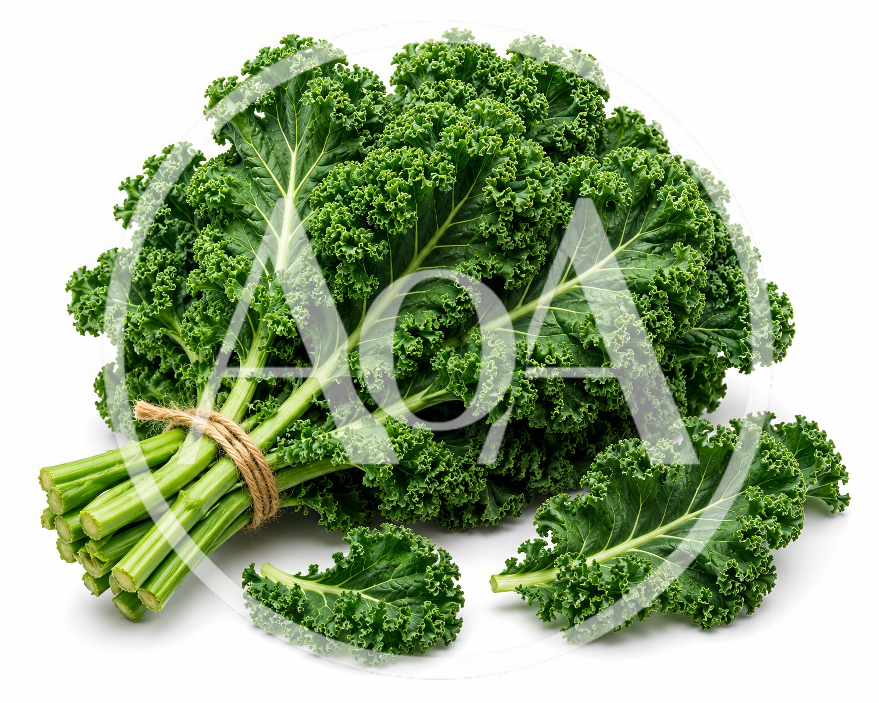Fresh Bunch Of Curly Kale Leaves On White Background