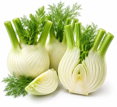 Fresh Fennel Bulbs With Fronds On White Background