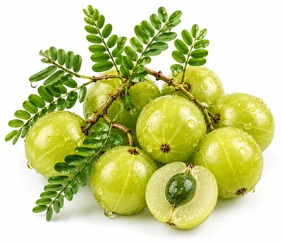 Fresh Amla Fruits With Green Leaves On White Background