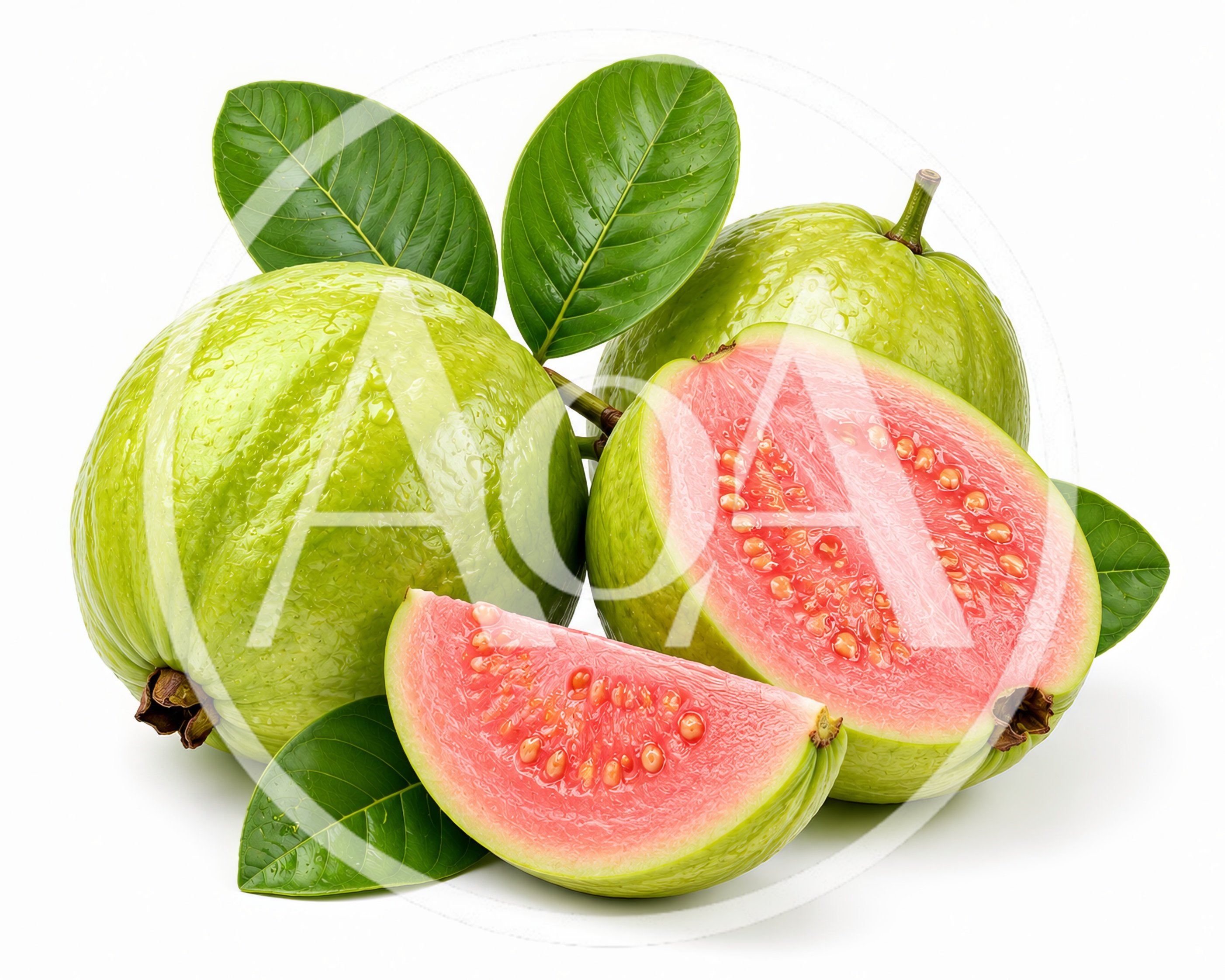Fresh Pink Guava Fruits With Green Leaves