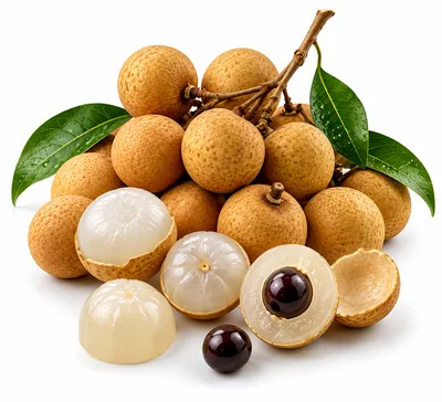 Fresh Longan Fruit Cluster on White Background