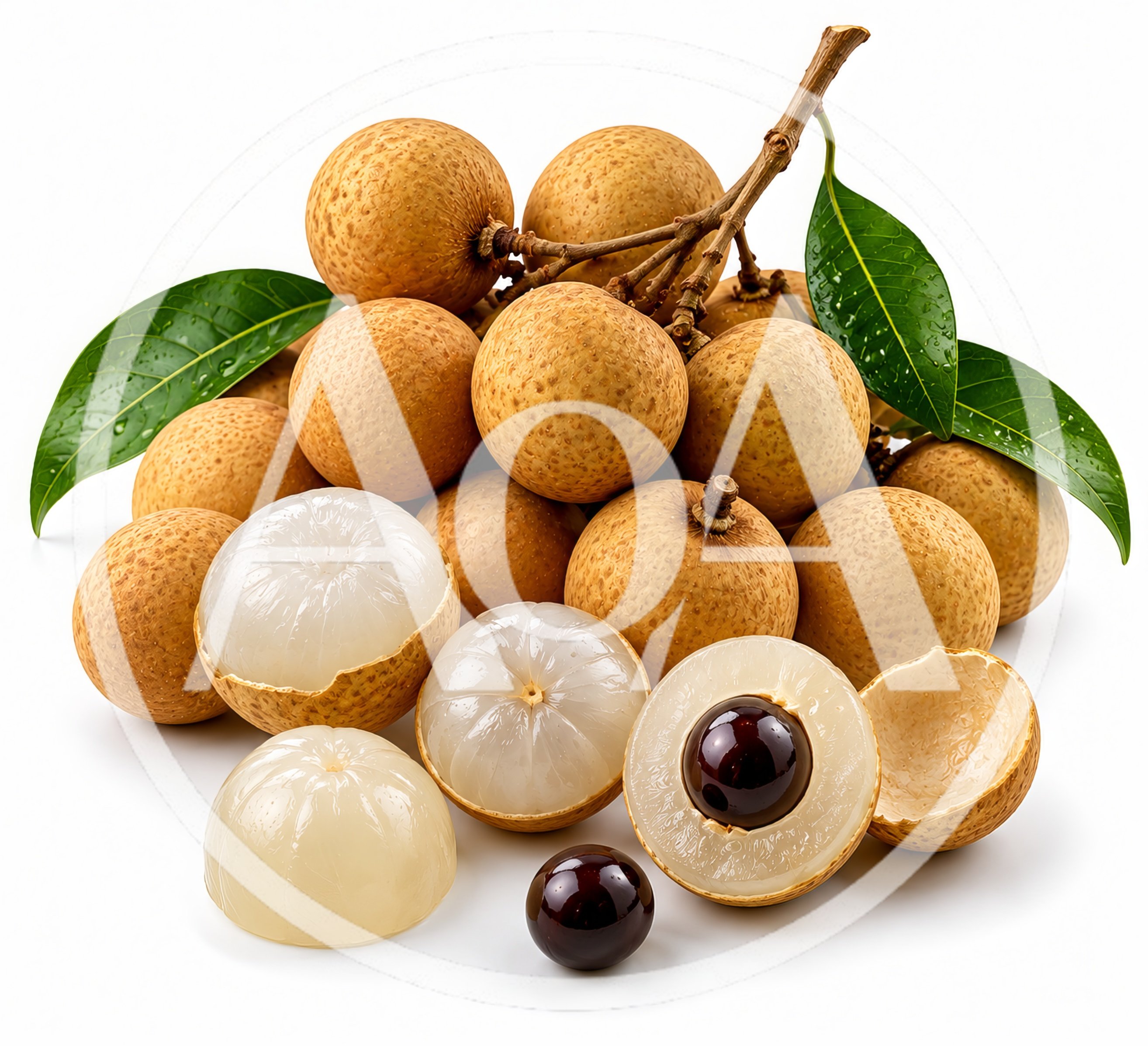 Fresh Longan Fruit Cluster on White Background
