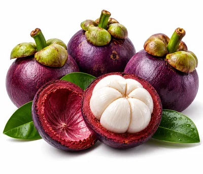 Fresh Purple Mangosteen Fruits With White Flesh