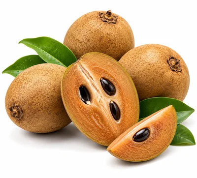 Fresh Sapodilla Fruits With Green Leaves