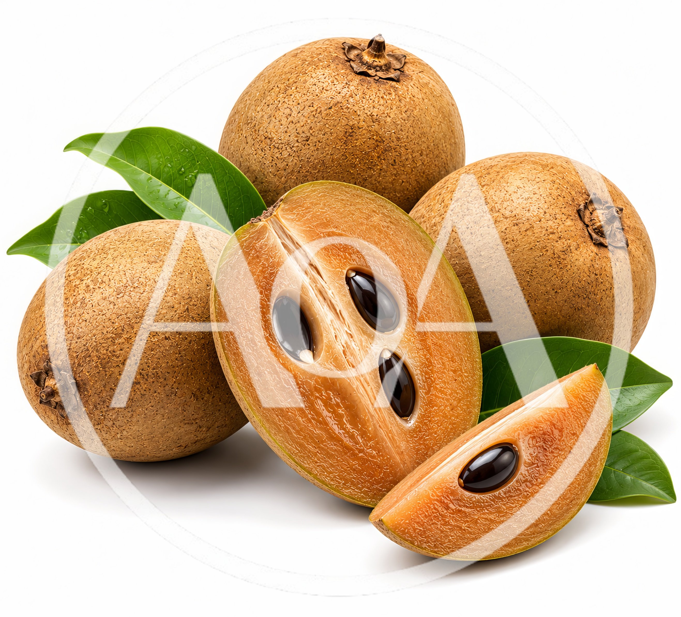 Fresh Sapodilla Fruits With Green Leaves