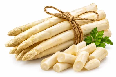 Fresh White Asparagus Spears Tied With Twine