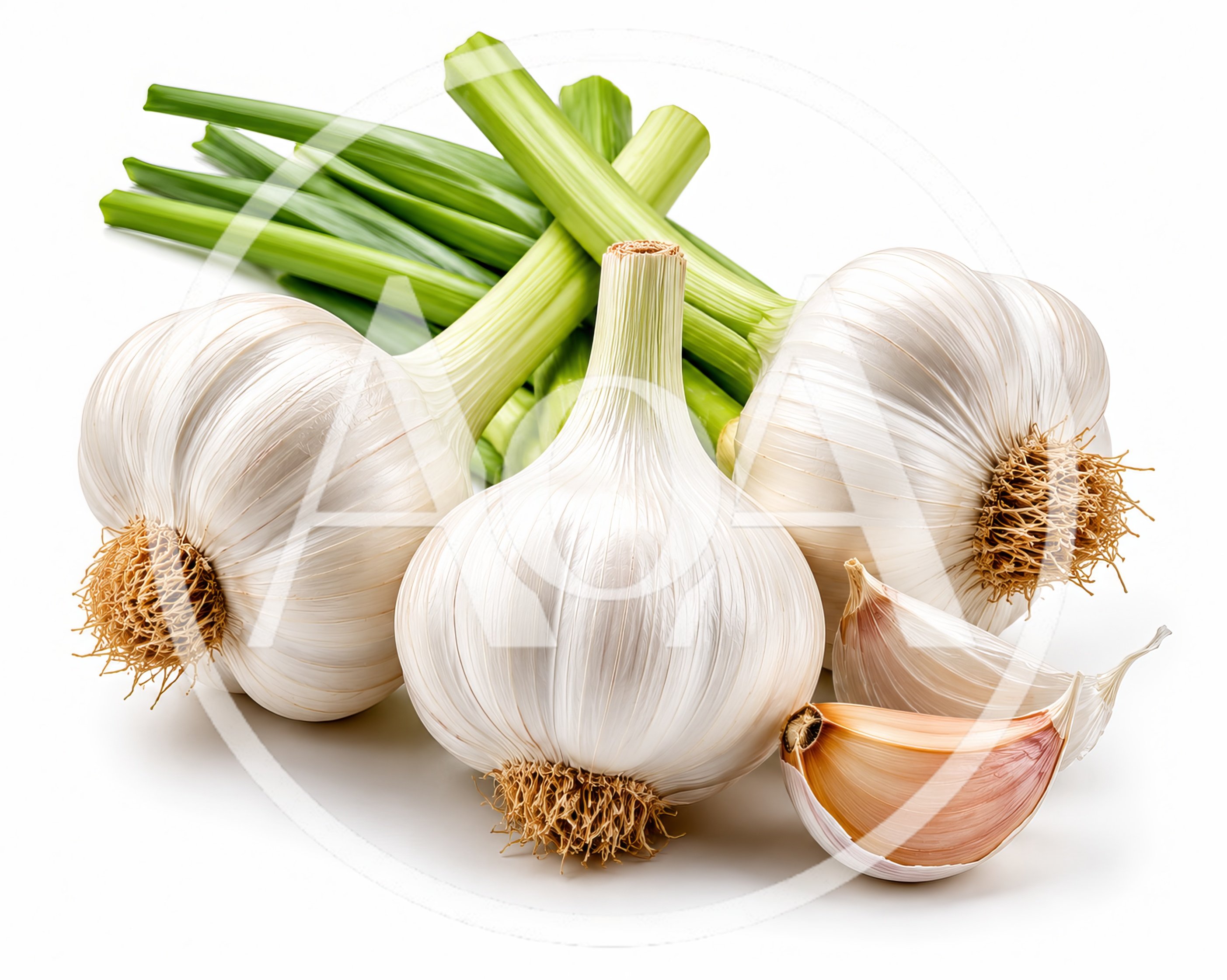 Fresh Garlic Bulbs With Green Stalks And Cloves