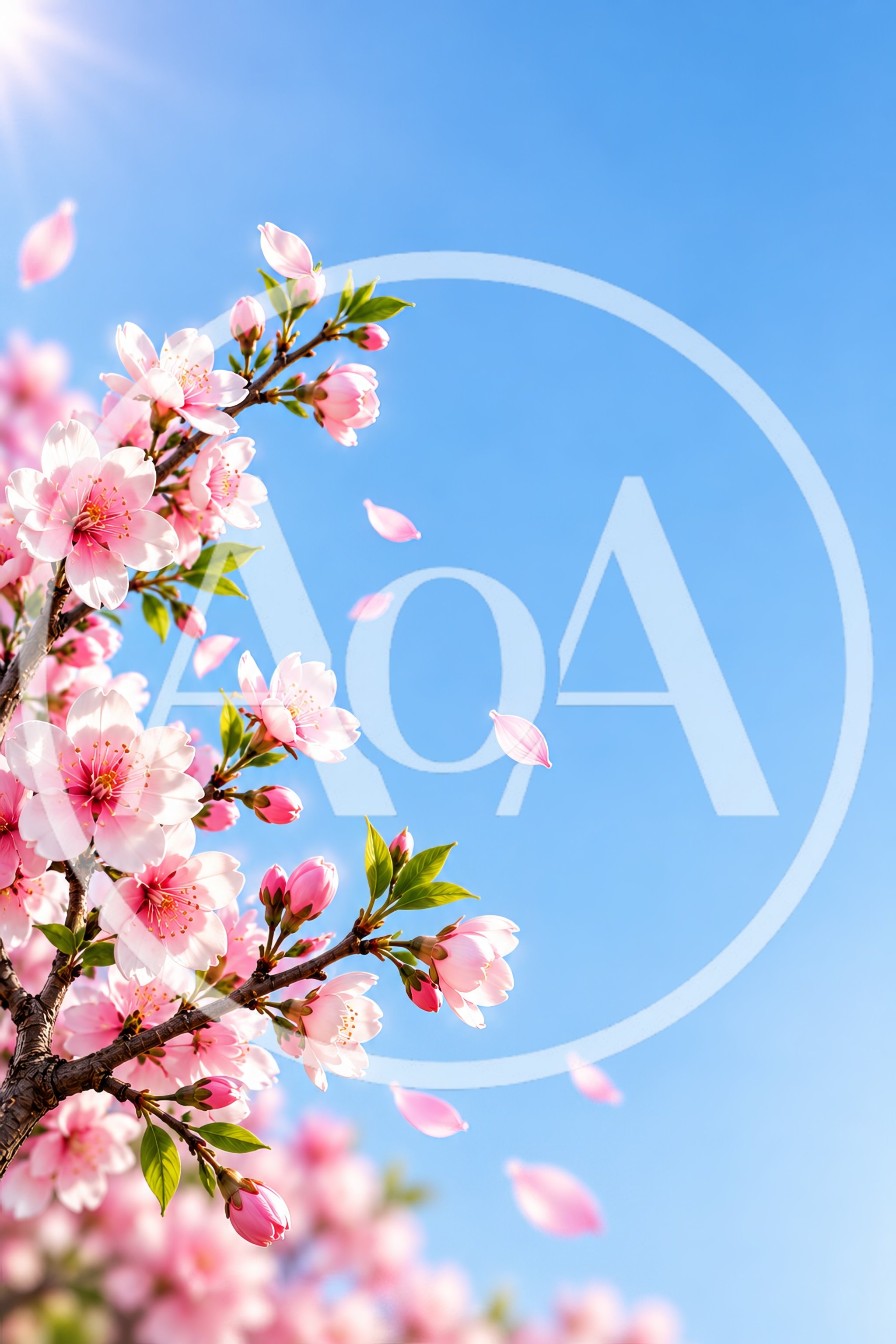 Cherry Blossom Branches Against A Clear Blue Sky