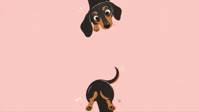 Cute Dachshund Dog Illustration On Pink Background