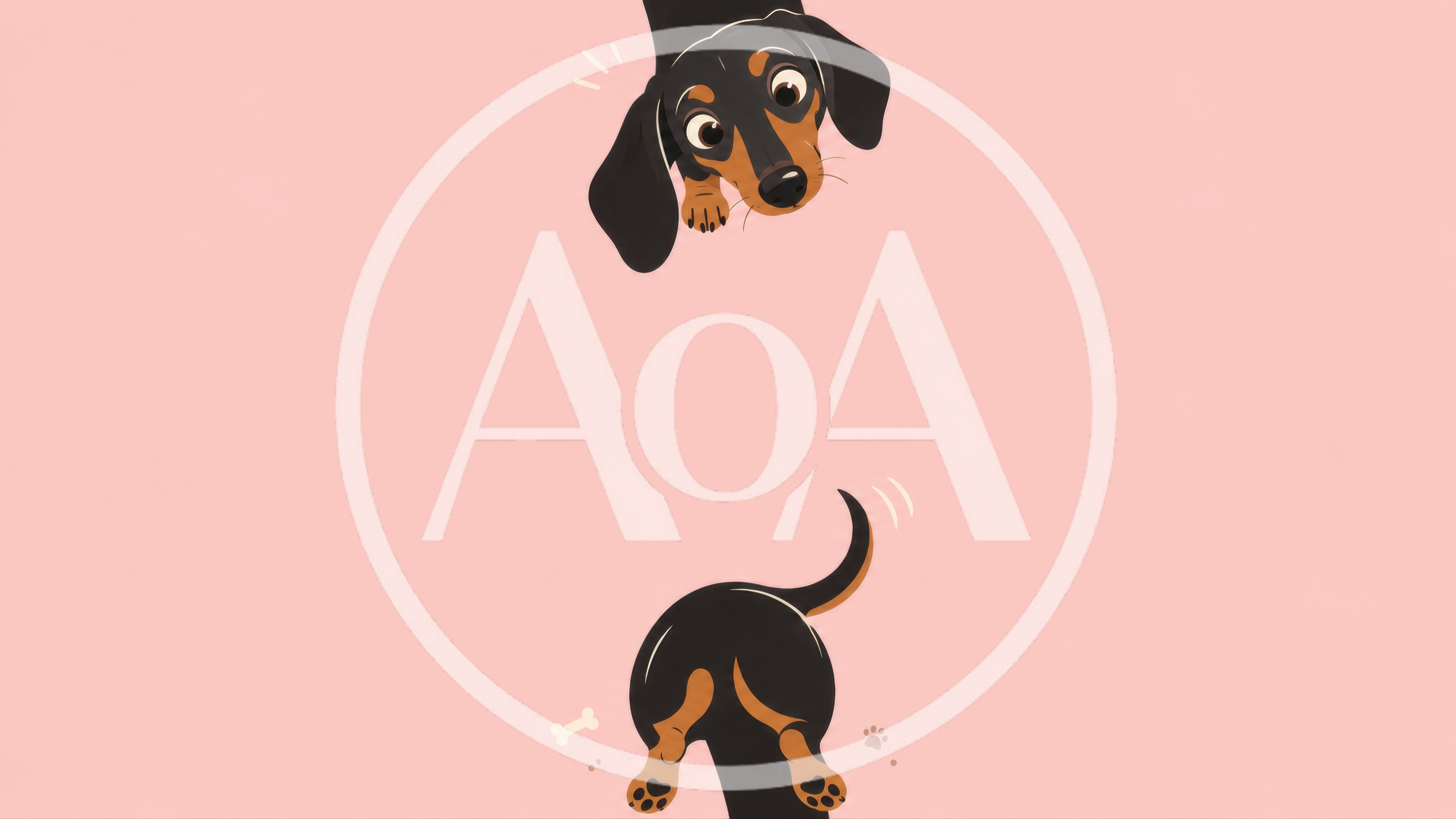 Cute Dachshund Dog Illustration On Pink Background