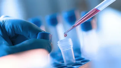 Scientist Using Pipette To Transfer Liquid Into Test Tube