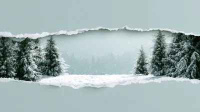 Winter Forest Landscape Through Torn Paper Frame