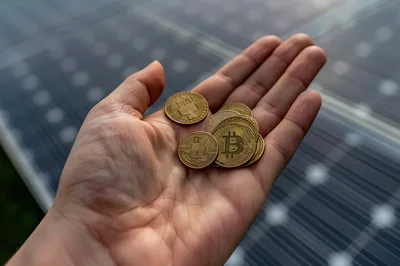 Hand Holding Bitcoin Coins Over Solar Panels