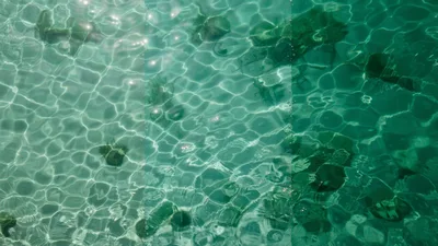 Sunlight Refractions On Clear Turquoise Tropical Ocean Water