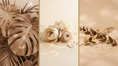 Triptych Of Beige Botanical And Floral Still Life