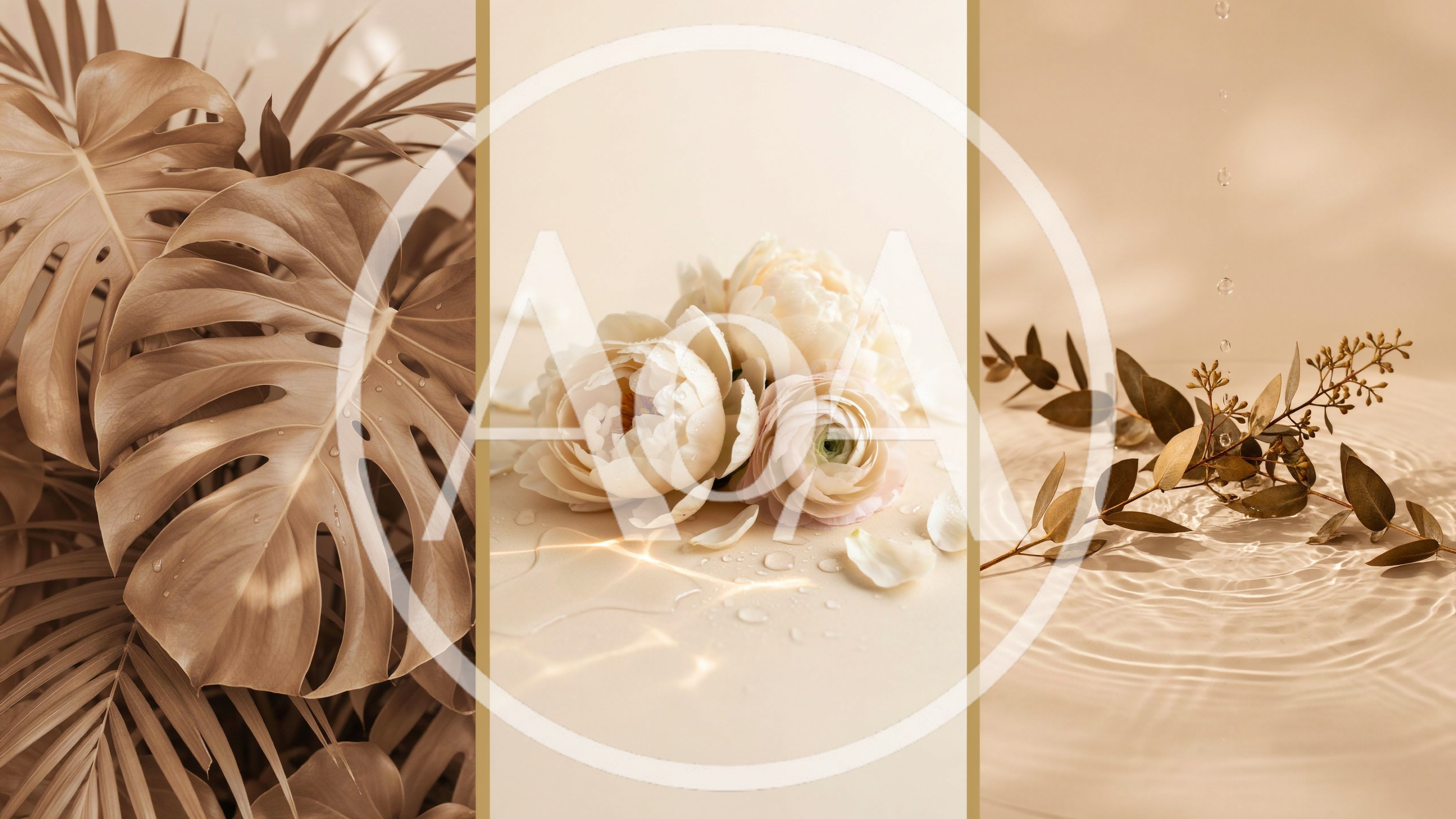 Triptych Of Beige Botanical And Floral Still Life