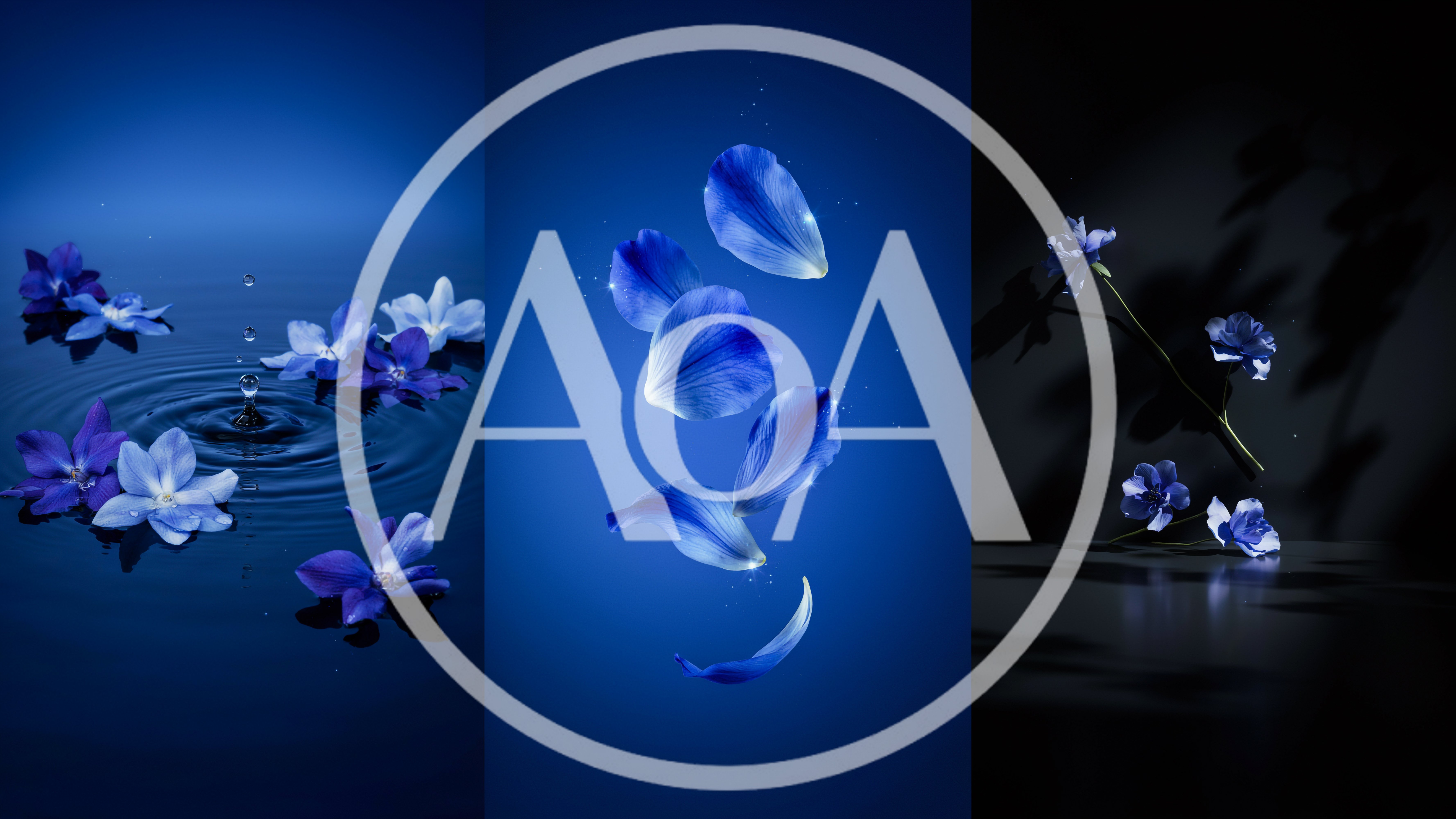 Blue Flower Petals And Blossoms In Artistic Composition