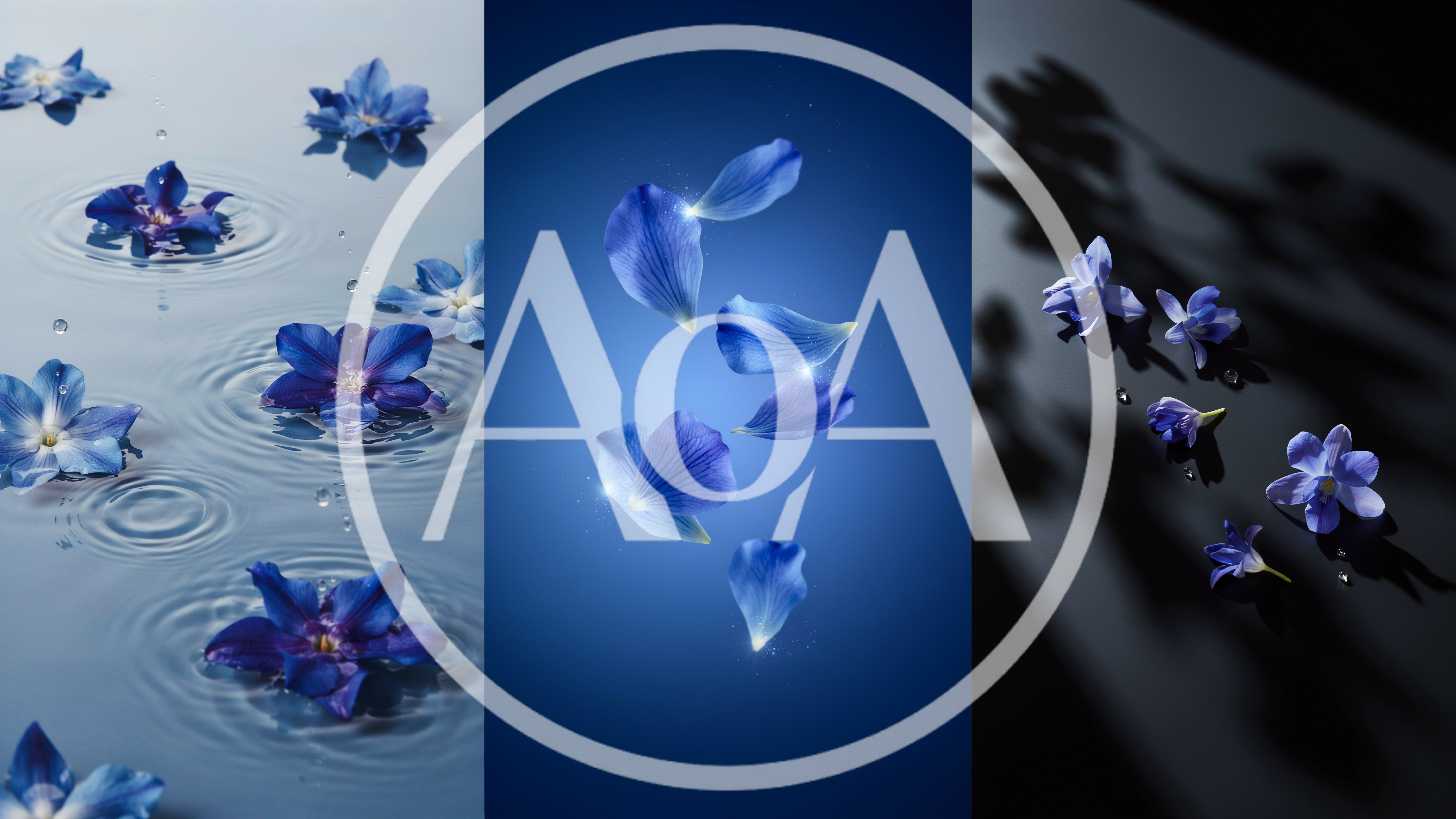 Blue Flower Petals Floating In Water And Air