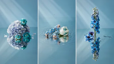 Triptych Of Blue Flowers Floating On Water