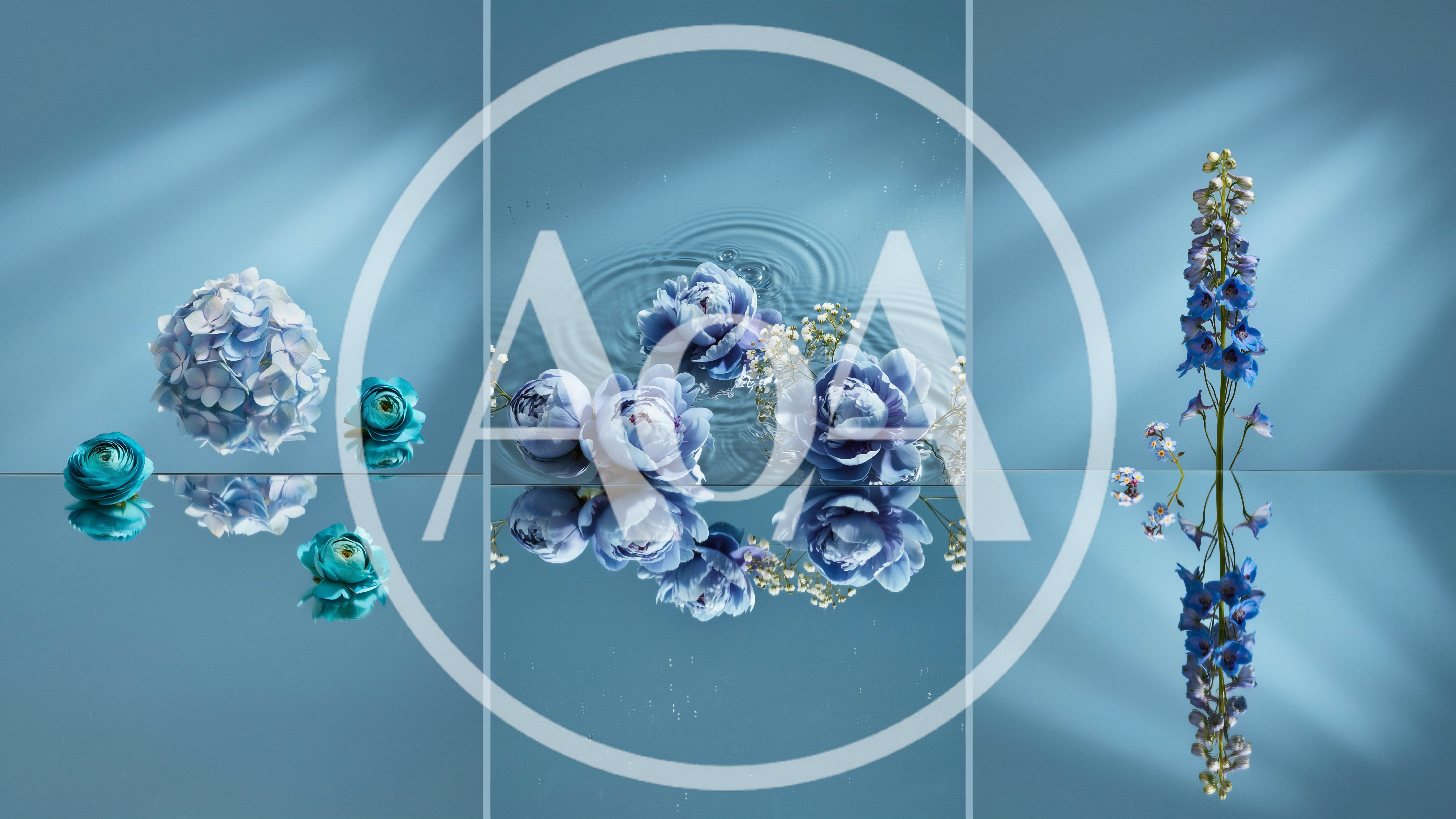 Blue Floral Compositions With Reflections On Mirror Surface