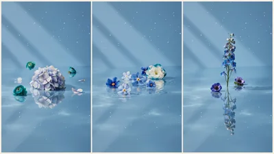 Triptych Of Blue Flowers Floating On Water