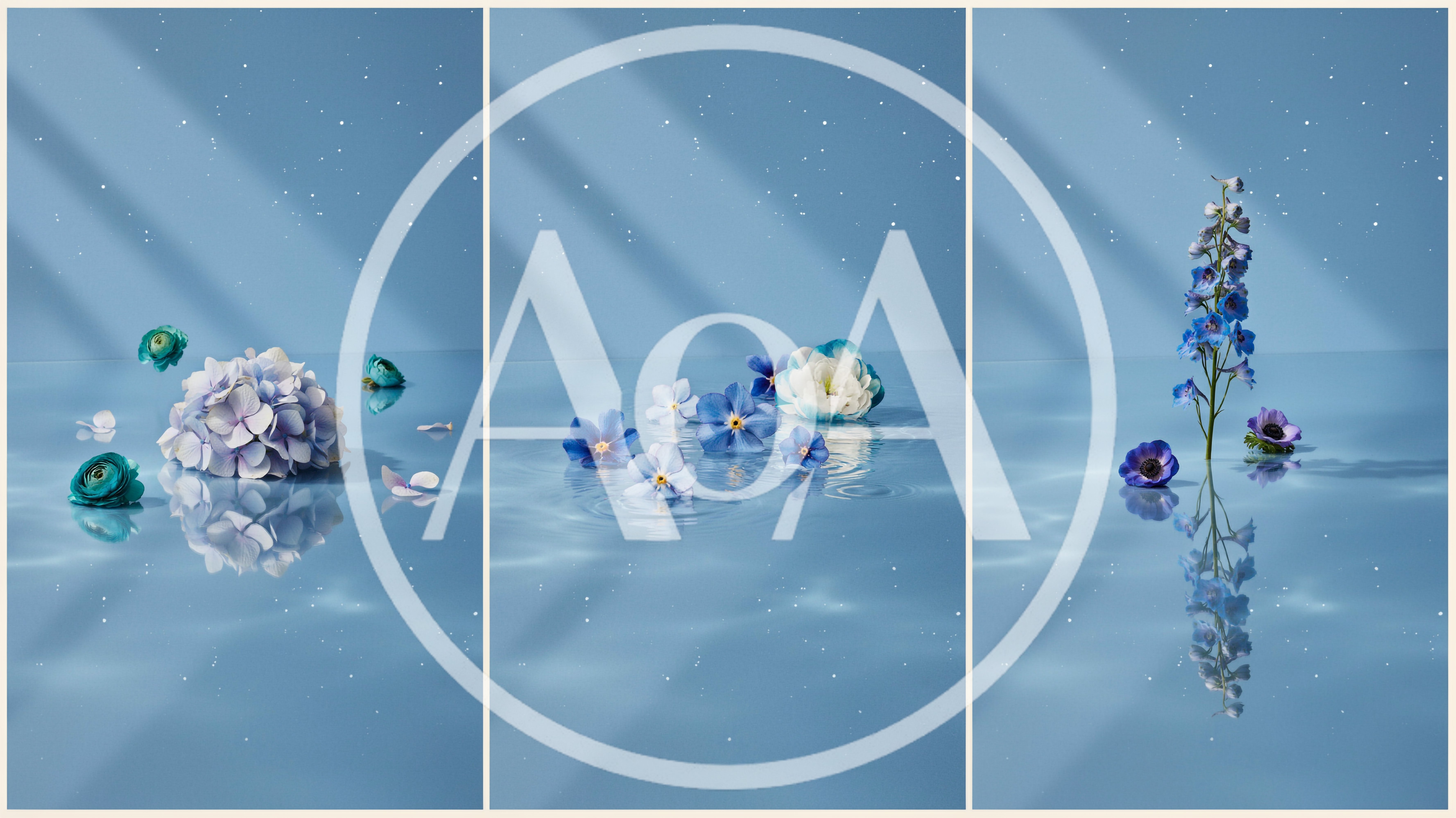 Triptych Of Blue Flowers Floating On Water