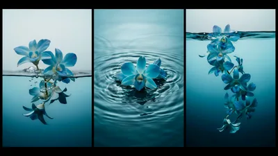 Blue Orchid Flowers Submerged In Water Triptych