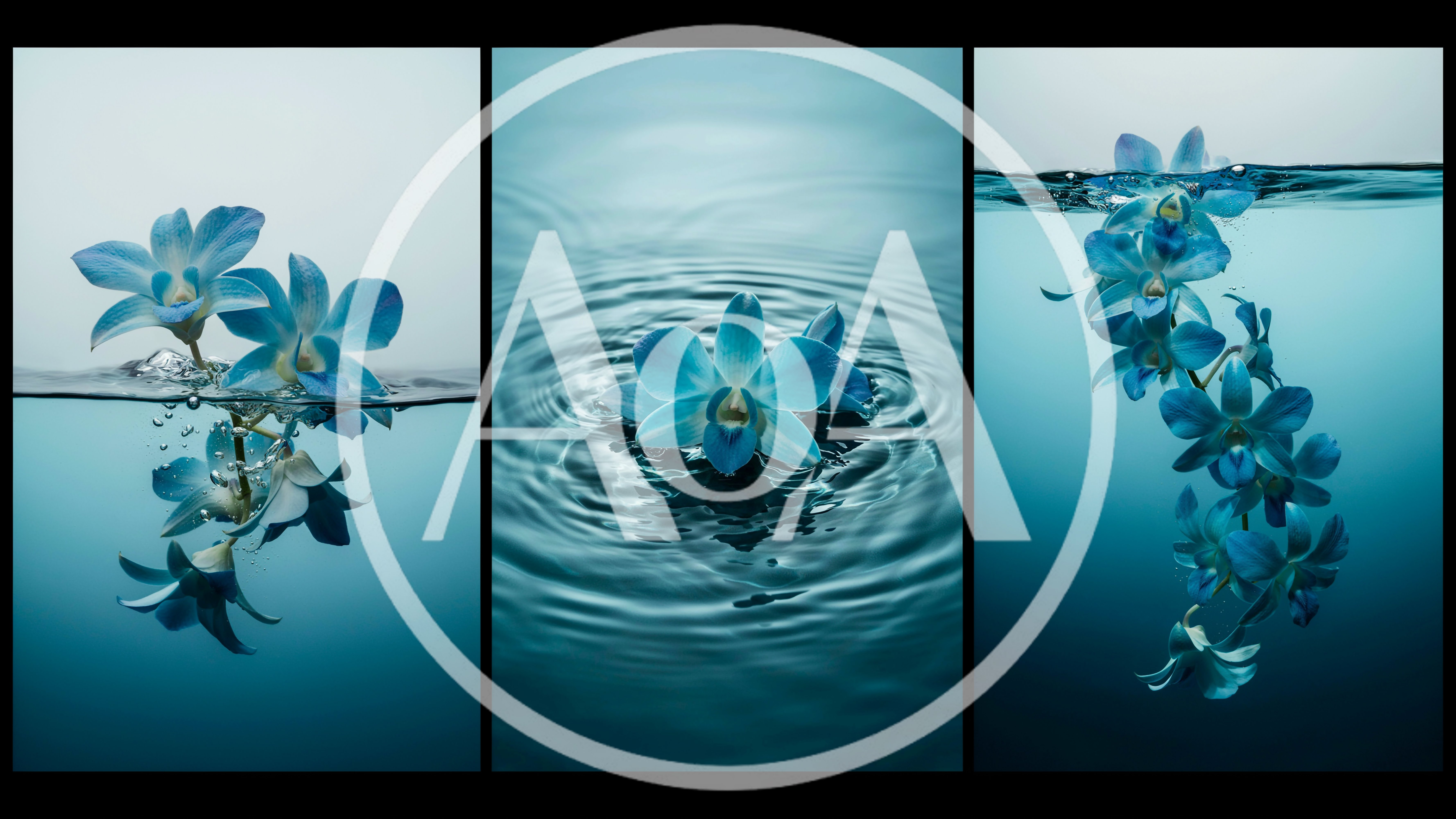 Blue Orchid Flowers Submerged In Water Triptych