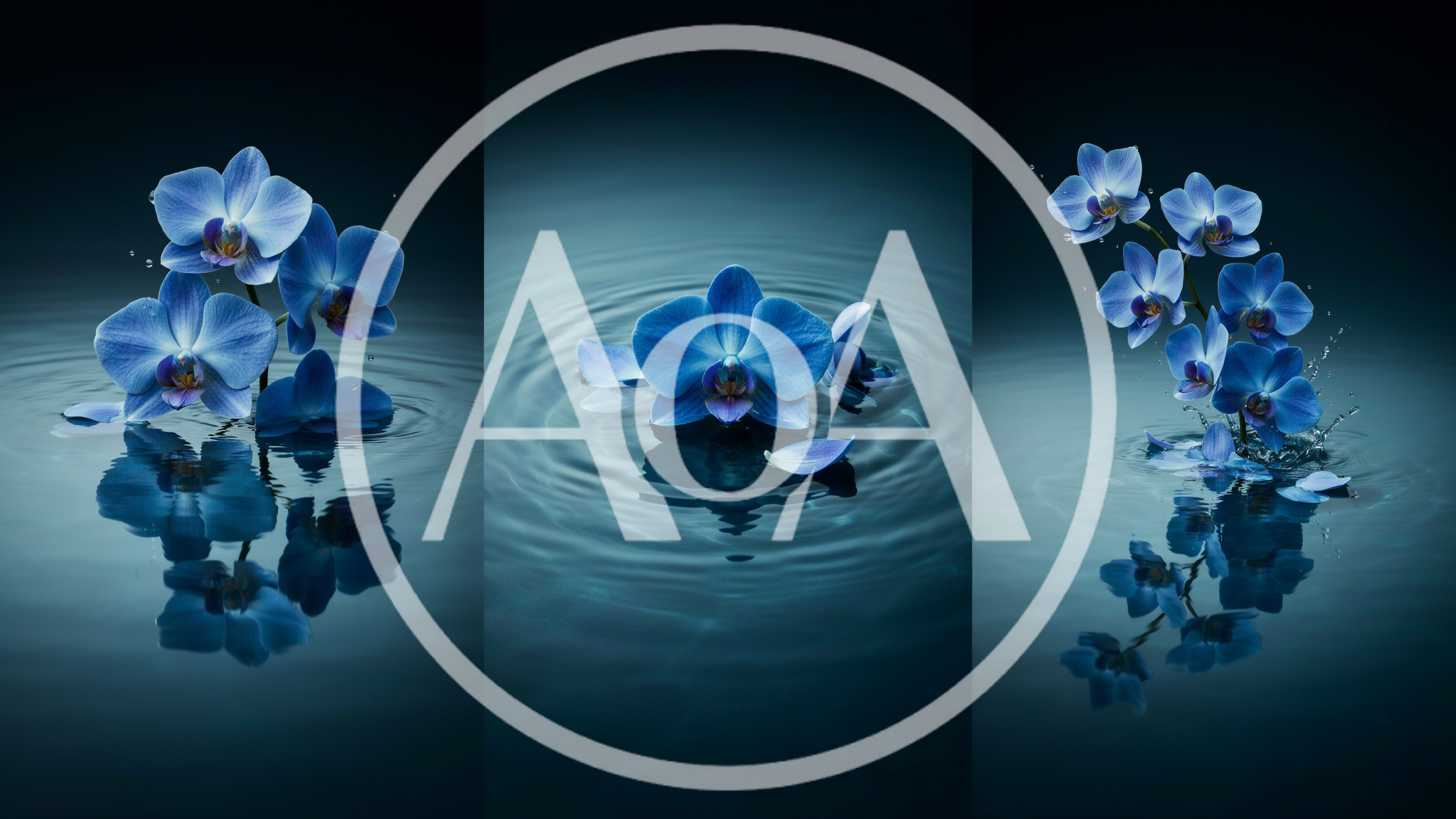 Blue Orchid Flowers Floating on Dark Water Surface