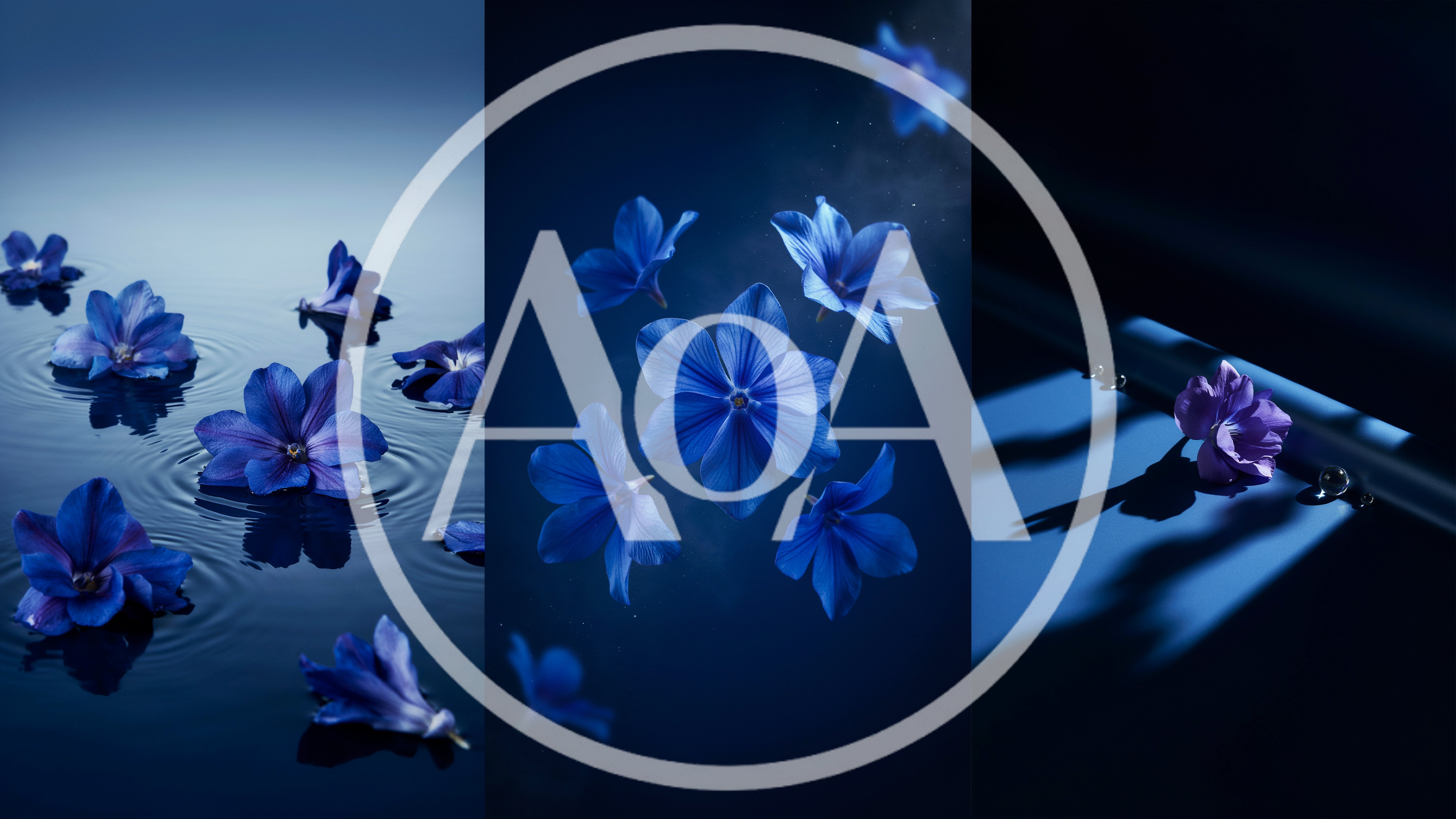 Blue Flowers Floating and Suspended in Dark Atmosphere