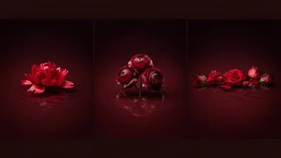 Triptych Of Red Flowers Floating On Dark Water