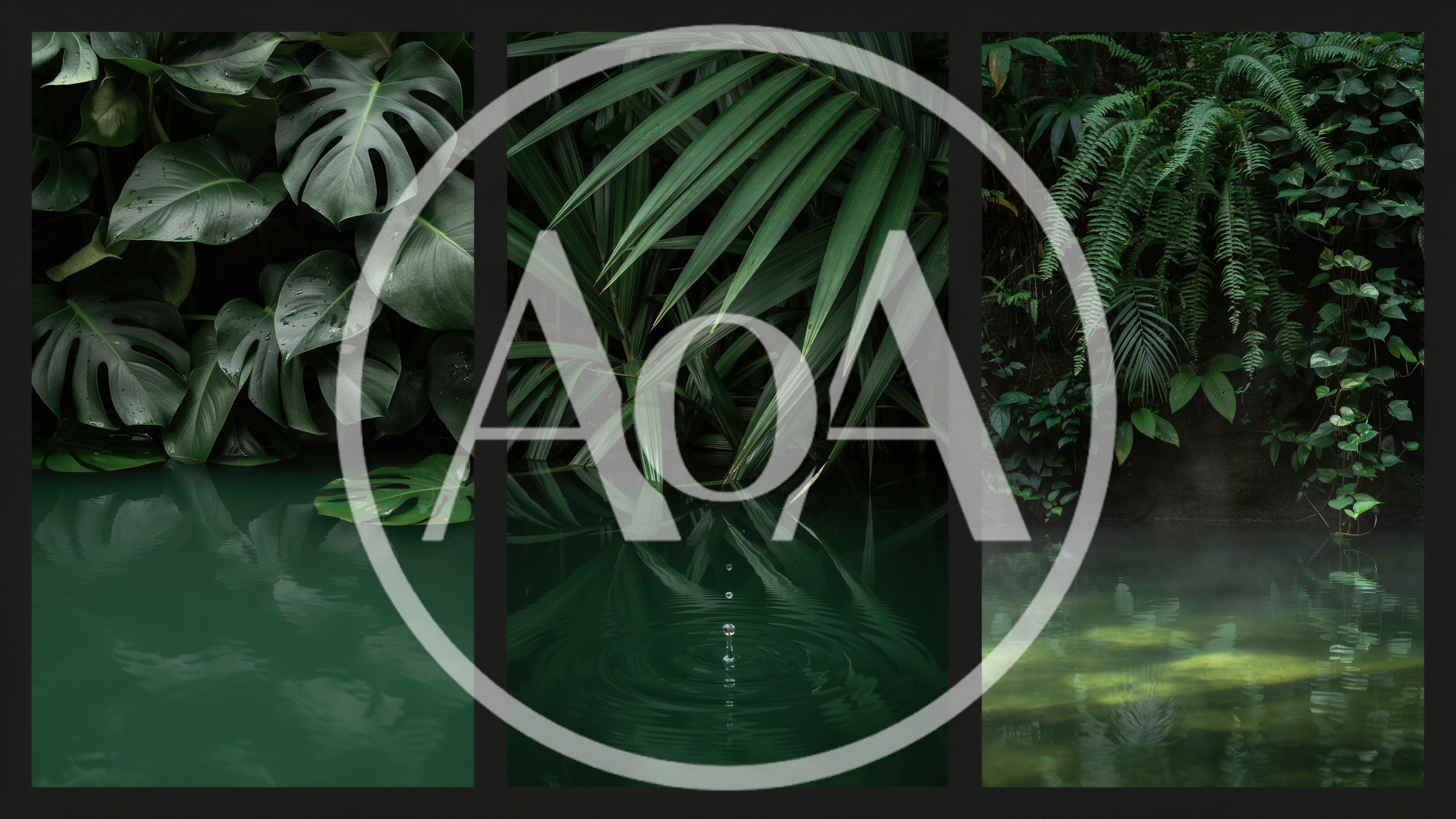 Triptych Of Lush Tropical Foliage Overhanging Calm Water