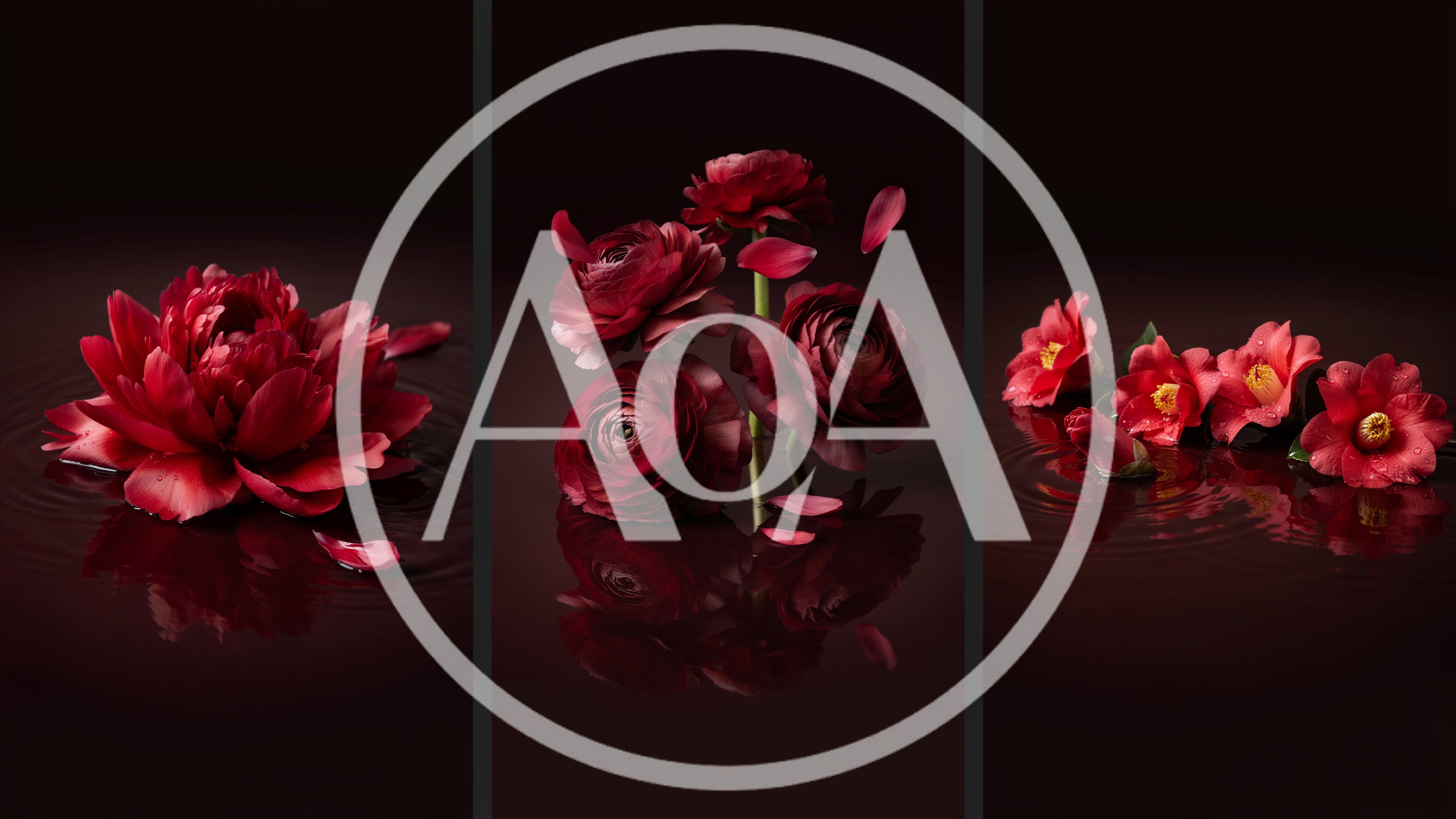 Red Flowers Floating On Dark Water Surface