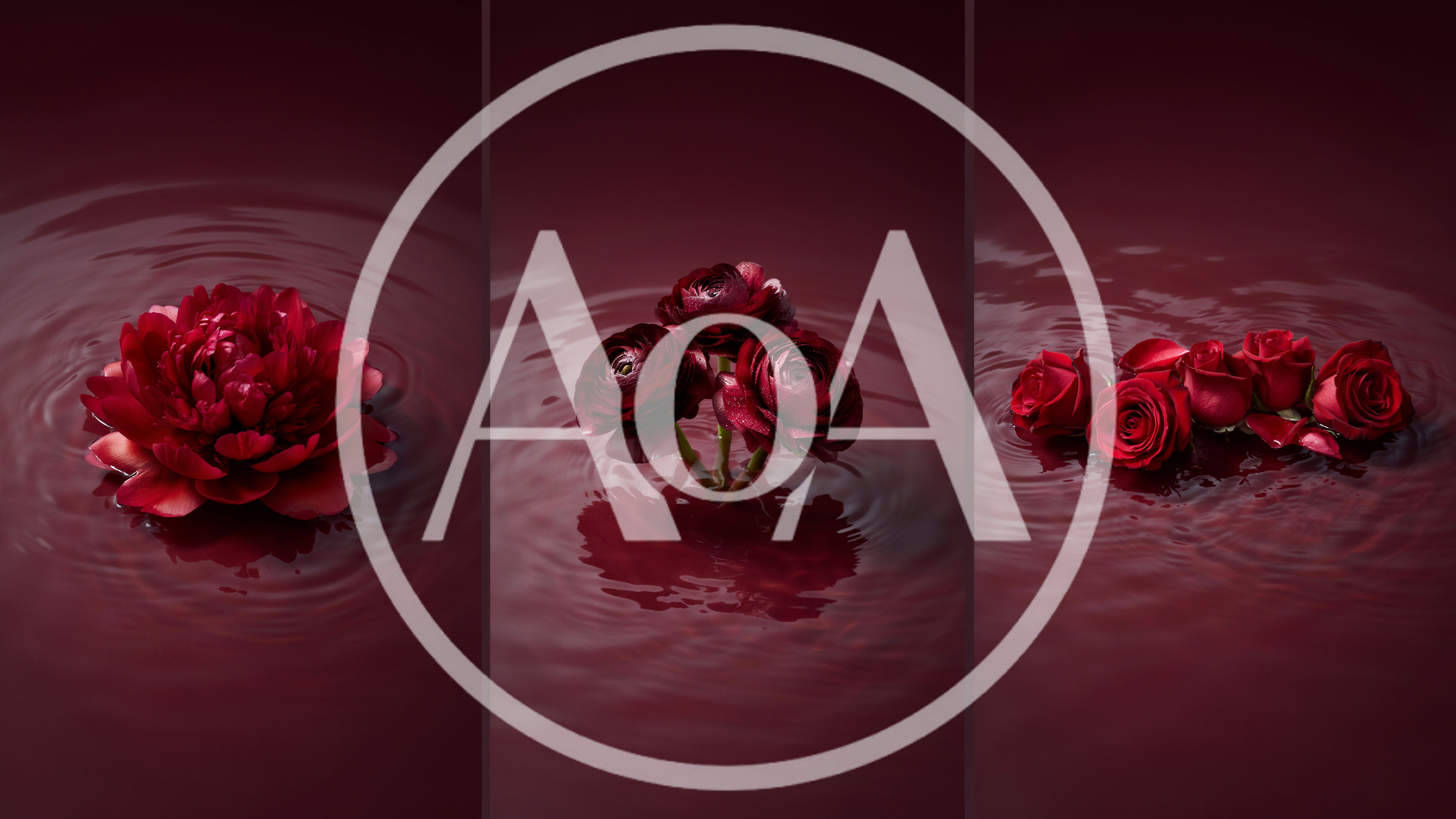 Dark Red Flowers Floating In Still Water