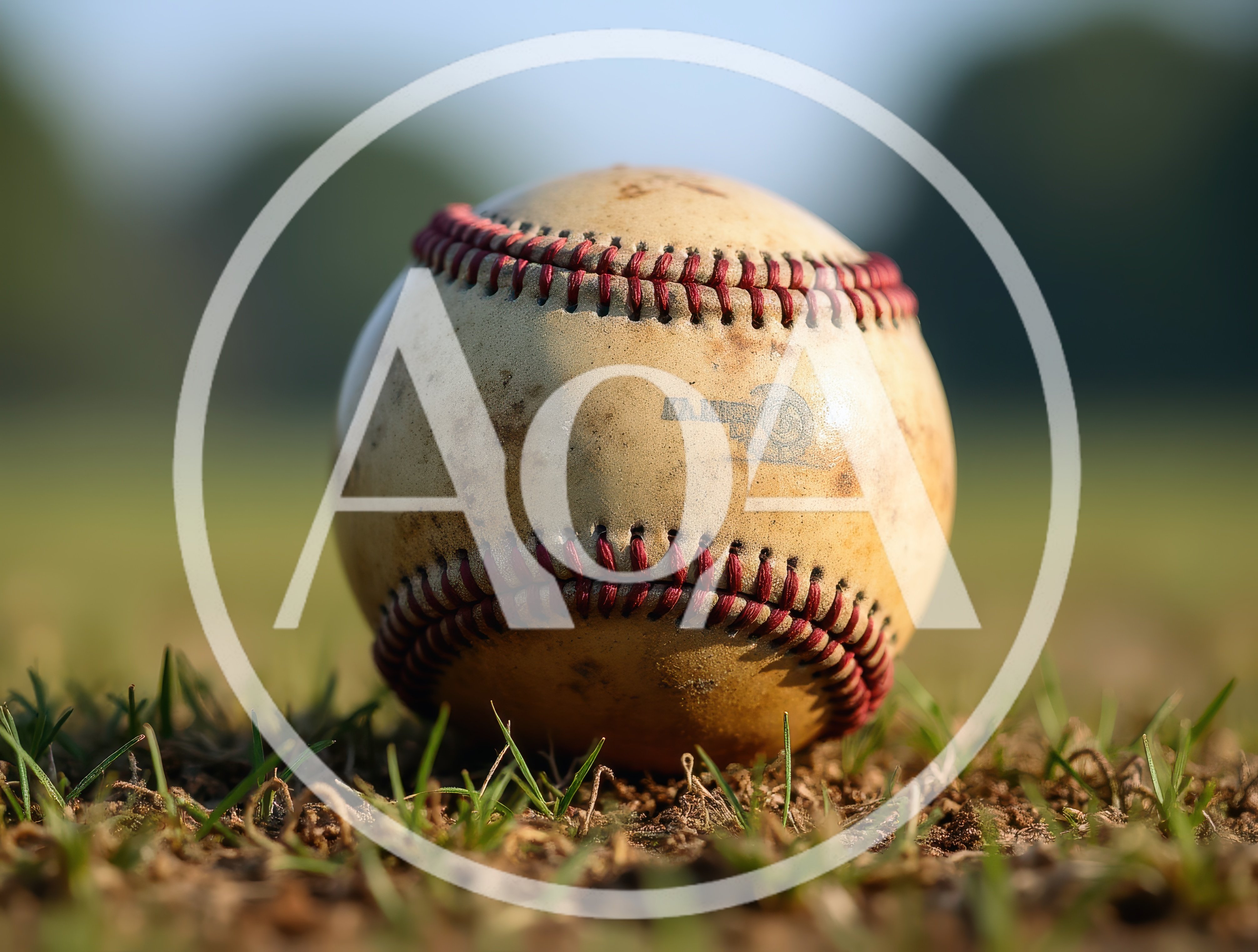Worn Baseball Resting On A Grassy Field