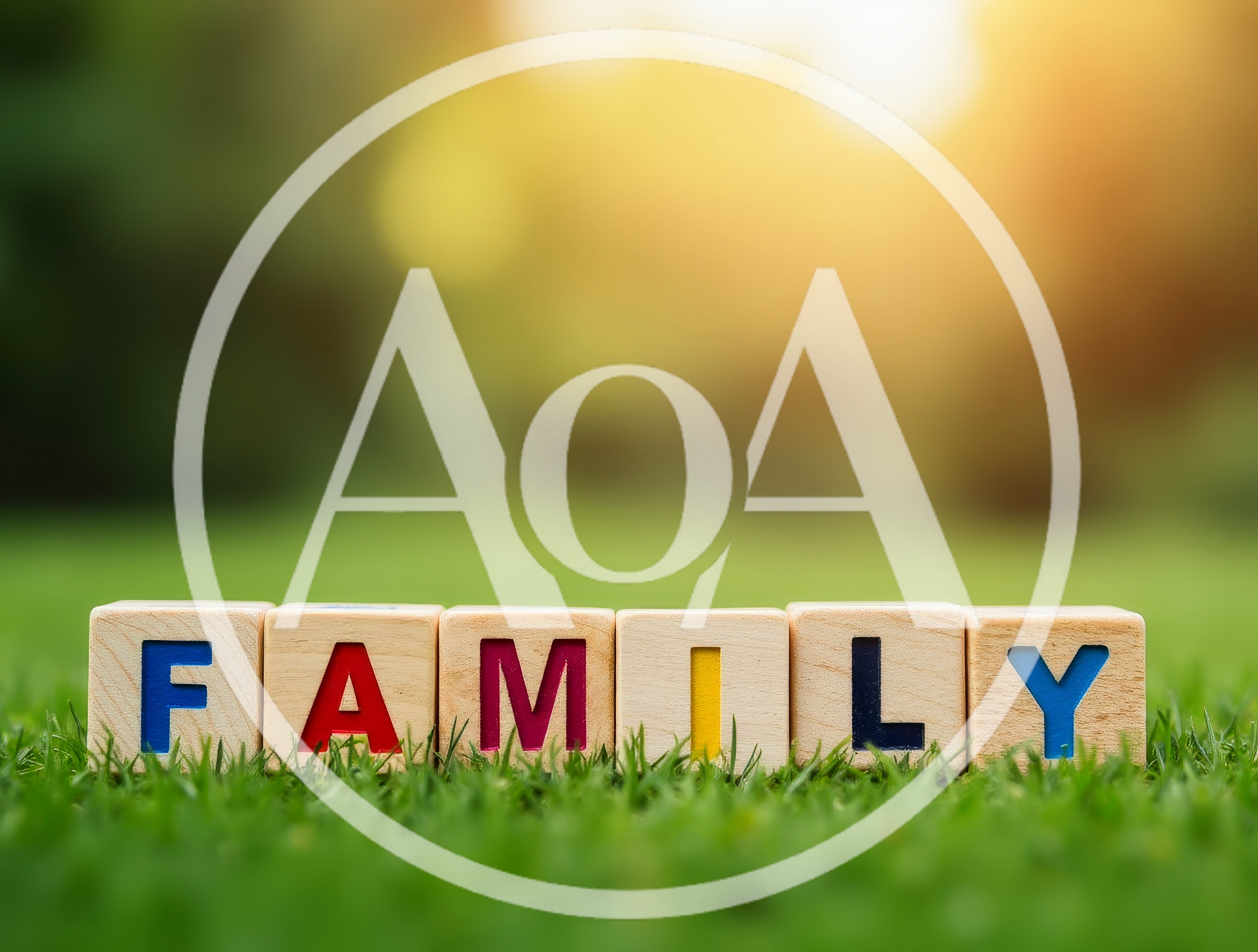 Wooden Alphabet Blocks Spelling Family On Green Grass