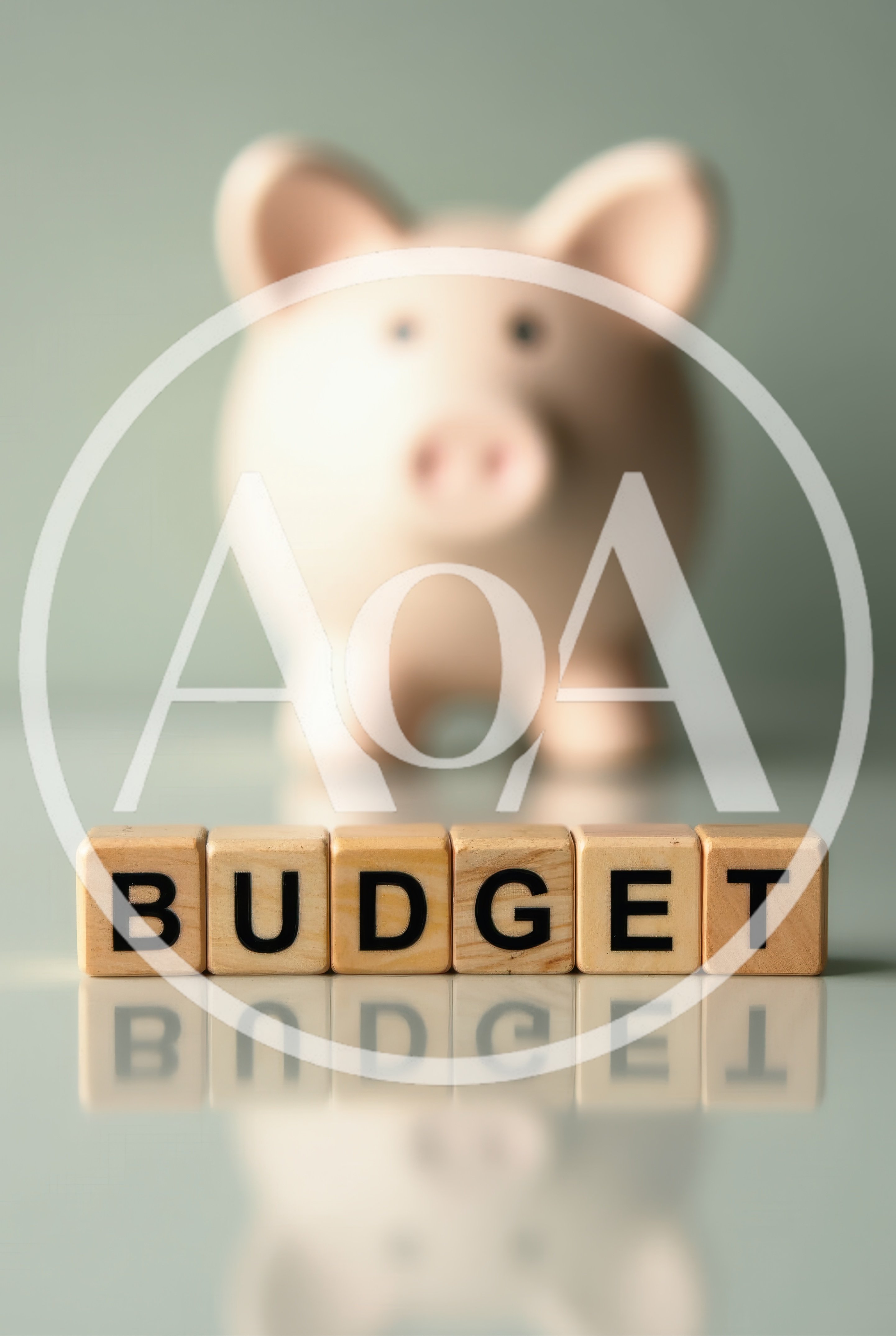 Wooden Blocks Spelling Budget With A Piggy Bank