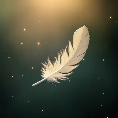 Single White Feather Floating In Magical Dark Atmosphere