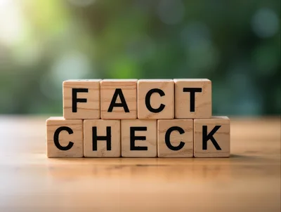 Wooden Blocks Spelling Fact Check On A Table