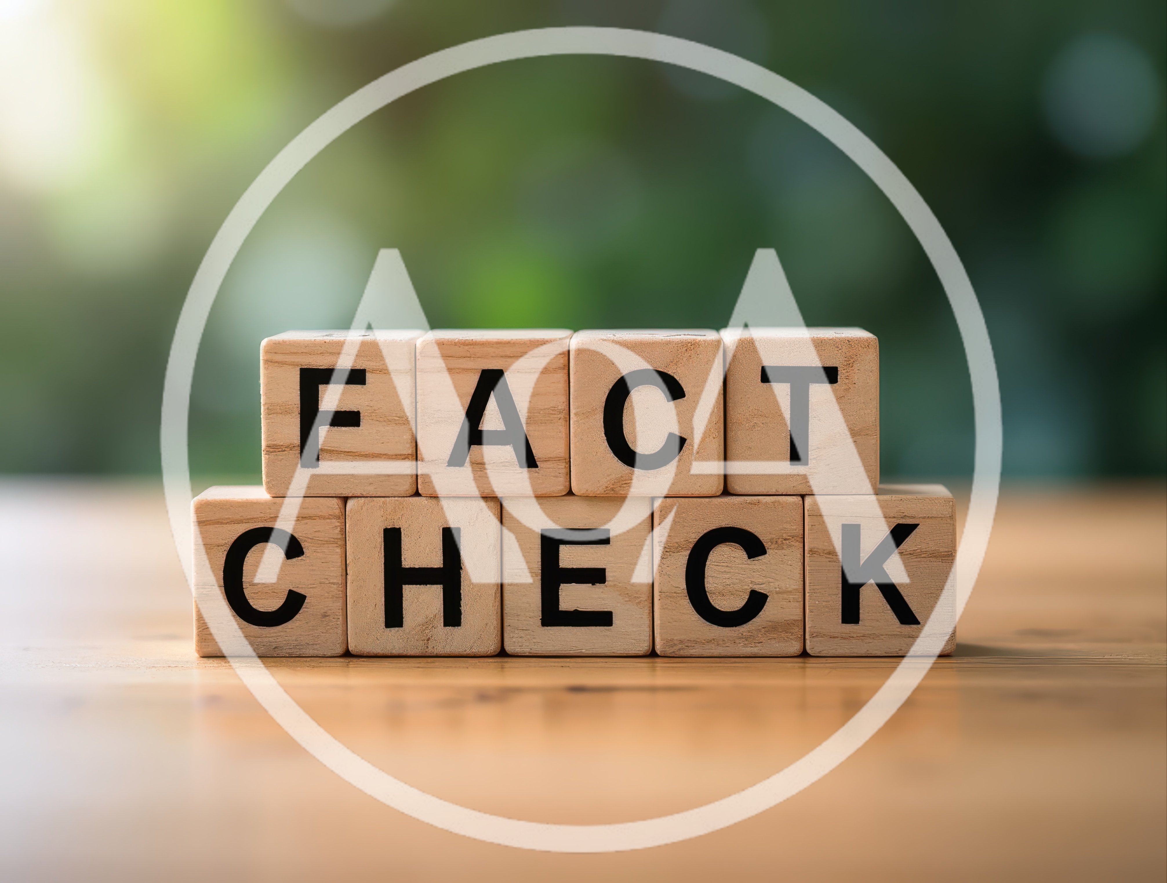 Wooden Blocks Spelling Fact Check On A Table
