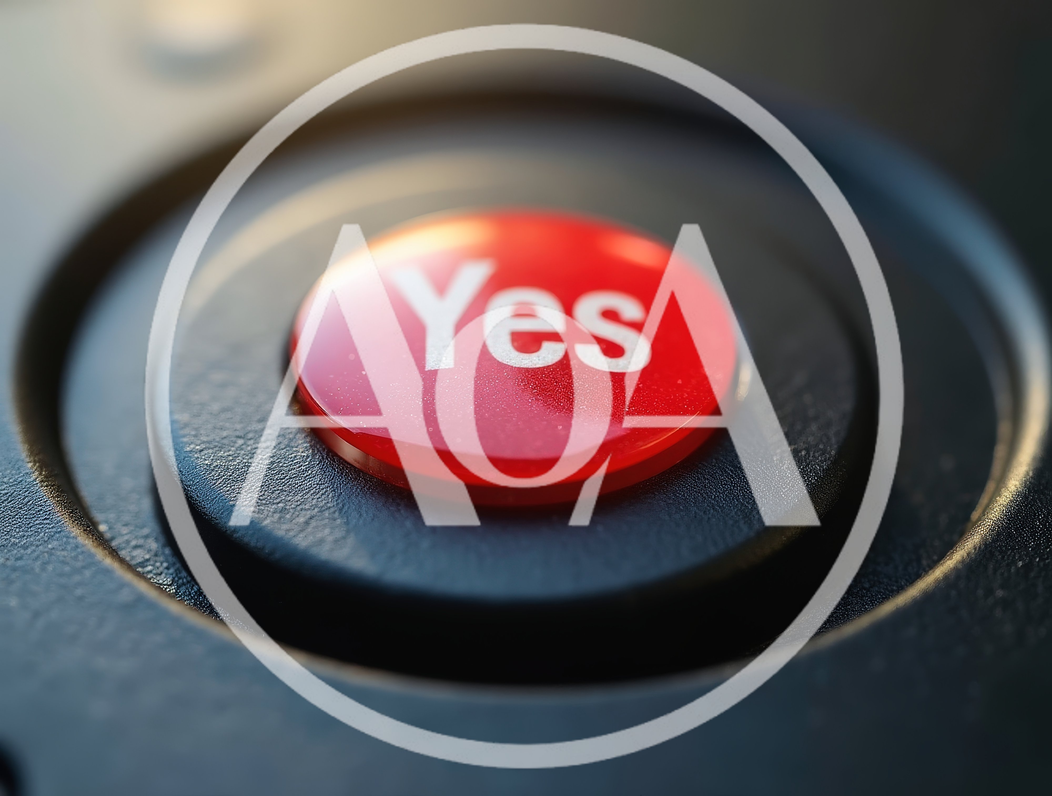 Macro Shot Of A Red Yes Button