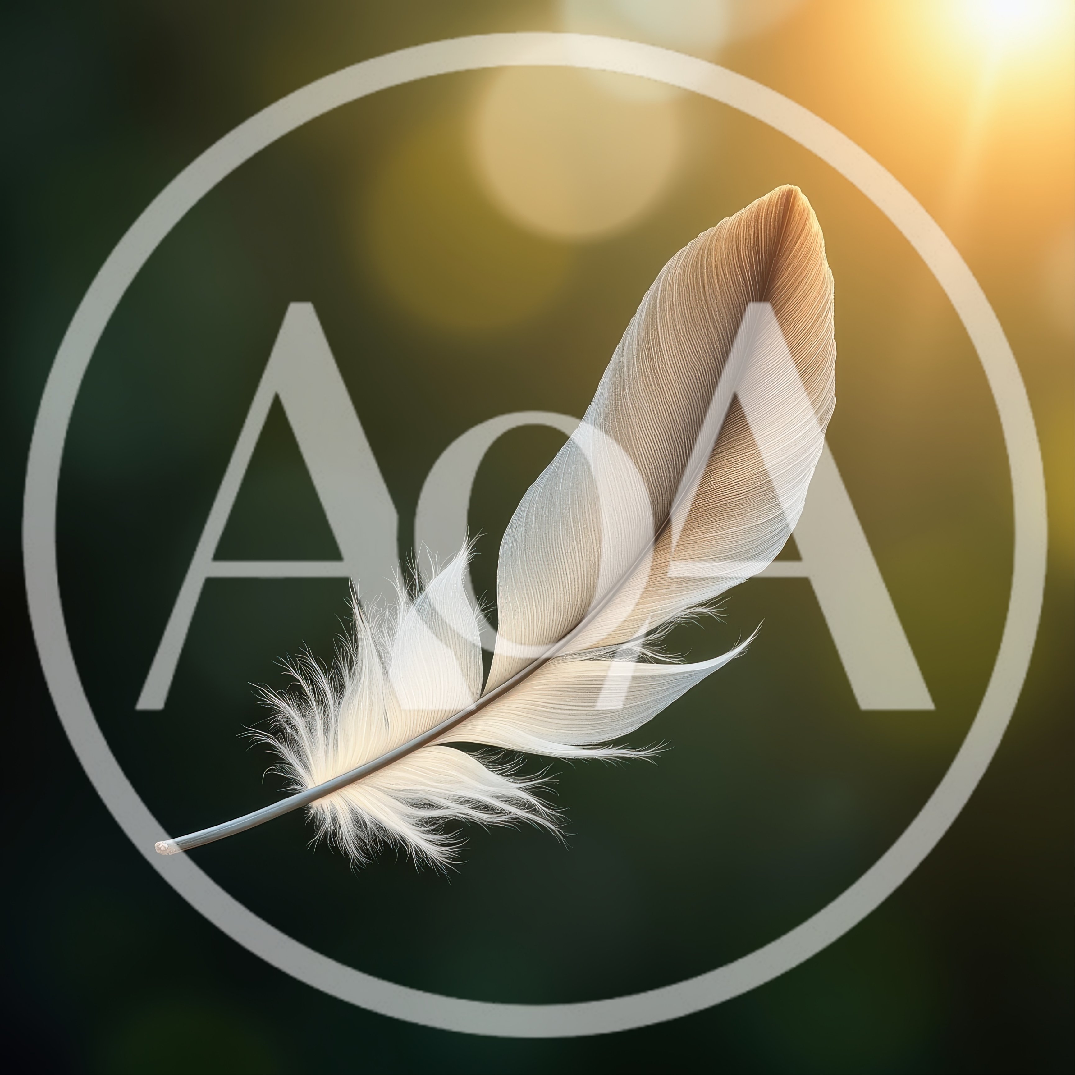 Single White Feather Floating Against Blurred Golden Background