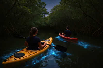 Couple Kayaking Through Bioluminescent Mangrove Forest At Night