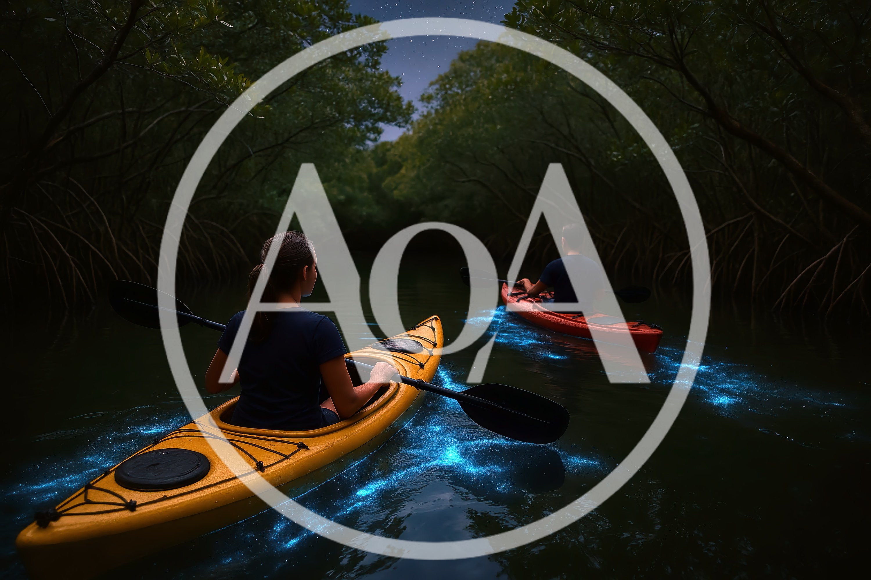 Couple Kayaking Through Bioluminescent Mangrove Forest At Night